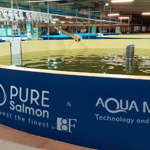 Pure Salmon achieves sustainability recommendation