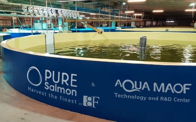 Pure Salmon achieves sustainability recommendation