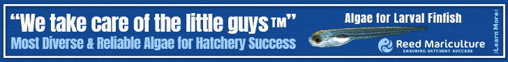 HFM_Leaderboard-0 banner