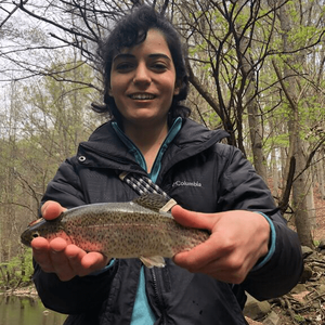 US research project to improve trout filet quality through genomic selection