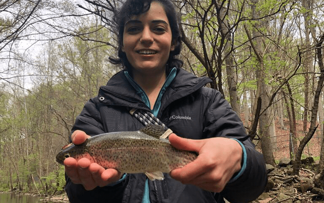 US research project to improve trout filet quality through genomic selection