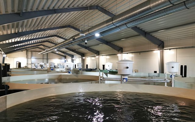 International partnership to leverage high-tech RAS fish farms