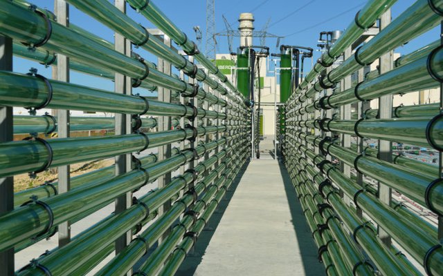 AlgaEnergy continues with its internationalization plan