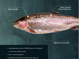 Aquasoja adds salmonid fry feed to its portfolio
