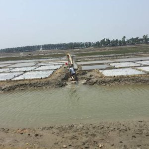 New project to produce Artemia cysts in Bangladesh