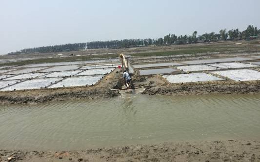 New project to produce Artemia cysts in Bangladesh