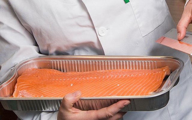 Genetics to improve salmon pigmentation