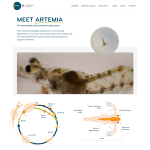 INVE Aquaculture unveils new Artemia knowledge hub