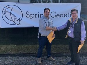 Spring Genetics partners with Colombias largest producer of tilapia