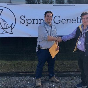 Spring Genetics partners with Colombias largest producer of tilapia