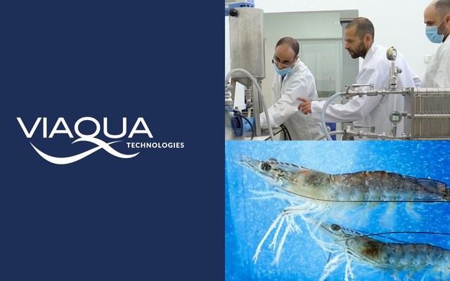 ViAqua Therapeutics raises $4.3 million for its oral, RNA-based shrimp health solution