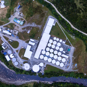 CHILE - Benchmark and AquaChile join forces to create salmon breeding operation
