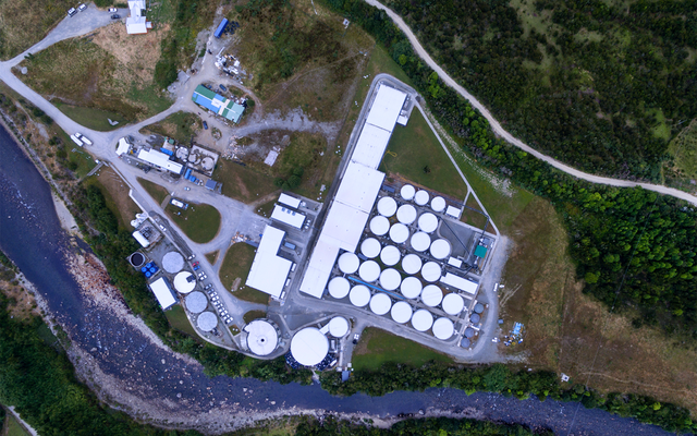 CHILE - Benchmark and AquaChile join forces to create salmon breeding operation