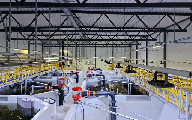 Pure Salmon Kaldness completes hatchery for Norwegian smolt producer