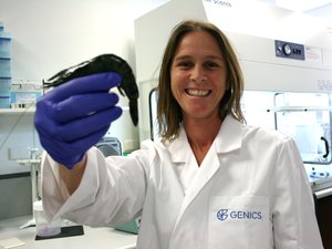 CSIRO develops new shrimp health test