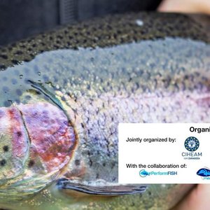 Join MedAIDs course on parasite management in fish
