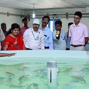 ICAR-CIBA inks deal to set up a multi-species hatchery in Kerala state