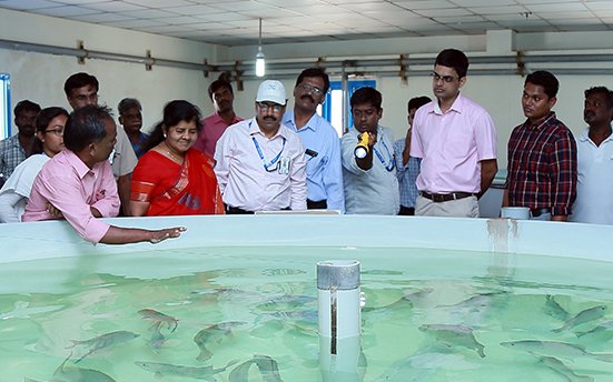 ICAR-CIBA inks deal to set up a multi-species hatchery in Kerala state