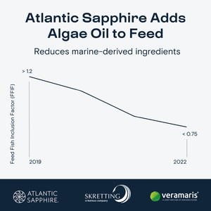 Atlantic Sapphire to include algal omega-3 ingredients in RAS feeds