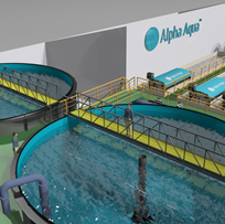 Alpha Aqua targets American RAS aquaculture markets