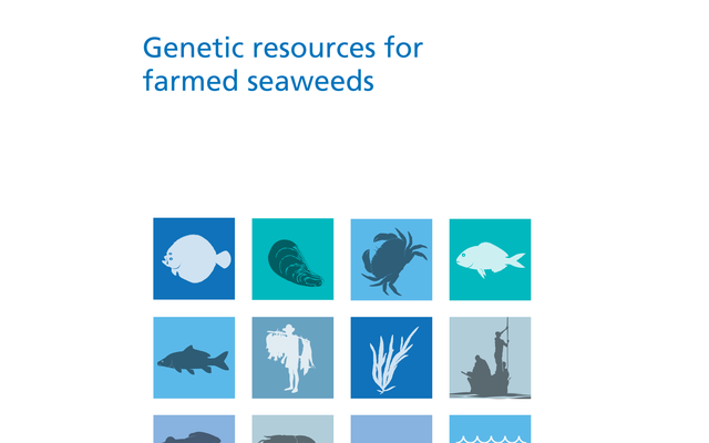 Genetic resources for farmed seaweeds