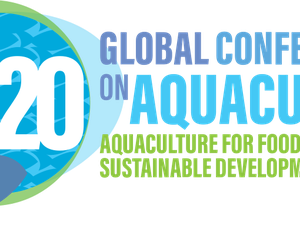 Open registration for the Global Conference on Aquaculture
