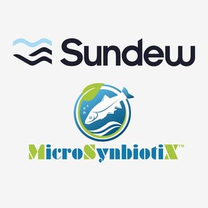Sundew acquires MicroSynbiotiX with a potential oral vaccine against WSSV in shrimp
