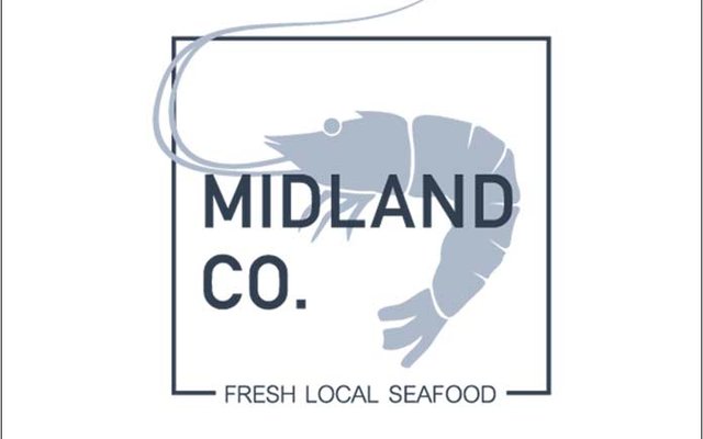 Midland Co. builds shrimp RAS farm with algae-based wastewater treatment