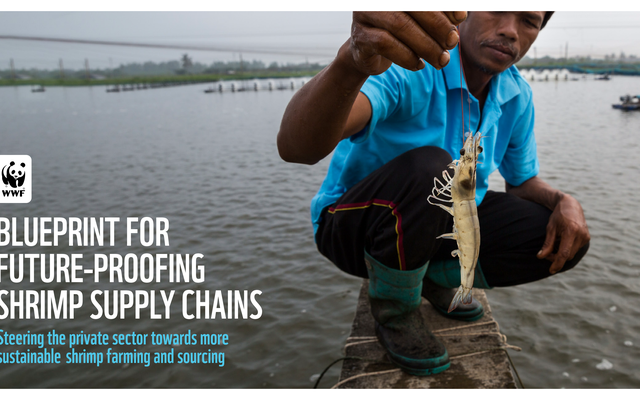 WWFs roadmap for sustainable shrimp supply chain