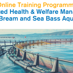 Join training program on seabass and seabream health and welfare