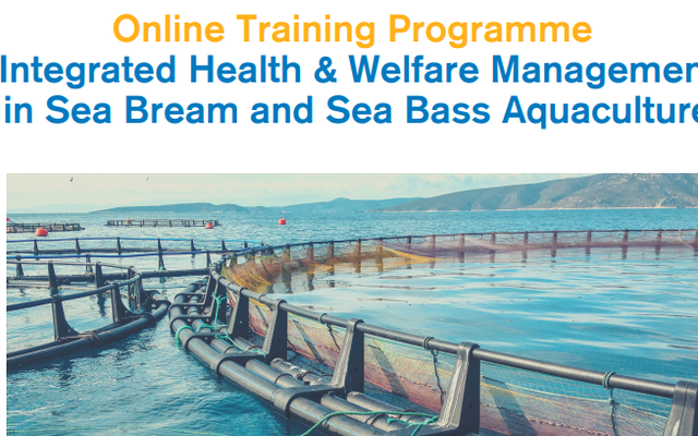 Join training program on seabass and seabream health and welfare