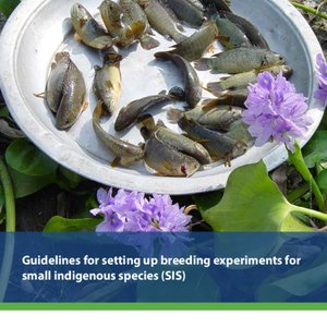 Guidelines for setting up breeding experiments for small indigenous species