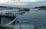 Aquaculture facilities and equipment