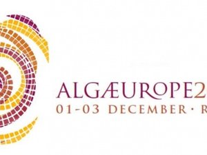 AlgaEurope to be held in December