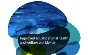 New OIE strategy to improve aquatic health and welfare worldwide