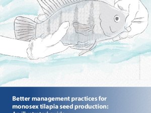 Better management practices for monosex tilapia seed production: An illustrated guide