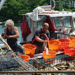 NOAA awards $3.1 million to small businesses to develop new aquaculture technologies