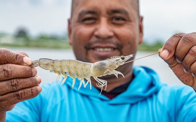 ASC to host first shrimp summit in Ecuador