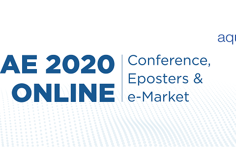 AE2020 ONLINE program available