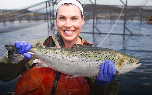 Cooke plans a new salmon hatchery in Canada