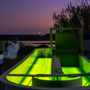 What are the benefits of LED lighting in microalgae grown in raceway ponds?