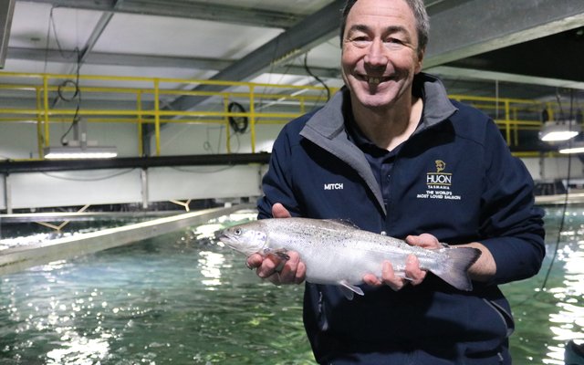 Huon Aquaculture transfers the biggest hatchery-grown salmon in the South