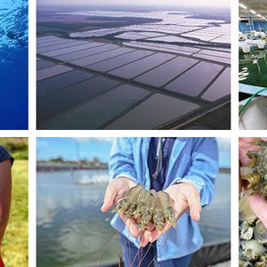 USA - National Aquaculture Health Plan and Standards