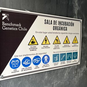 Benchmark Genetics Chile receives organic ova certification