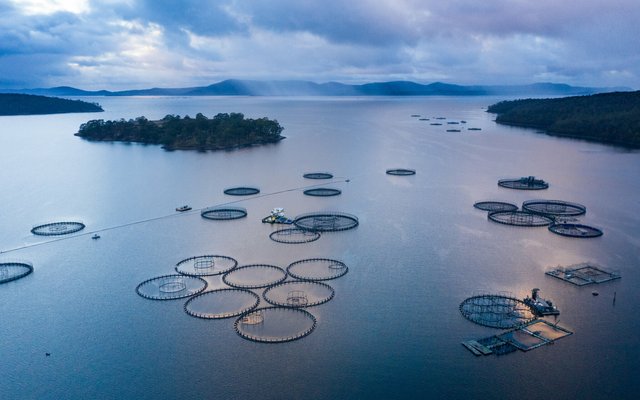 Aquaculture industry leaders sign call to accelerate industry-wide progress