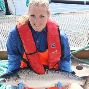 Ultrasonic screening for gender identification and maturation monitoring in salmon