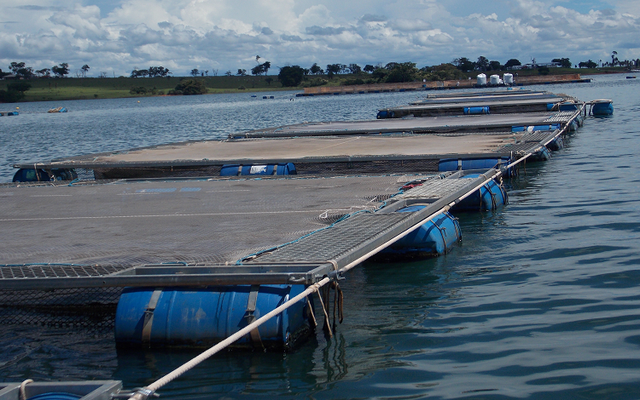 Bolsonaro reduces the bureaucracy of aquaculture in Brazil