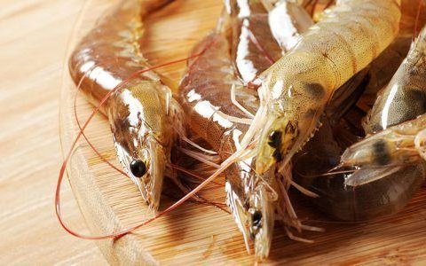 Flo-Gro Systems to build king prawn hatchery in the UK