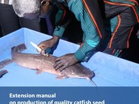 Manual on production of quality catfish seed