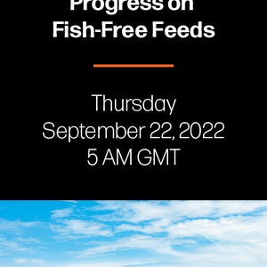 F3 webinar: Large feed company progress on fish-free feeds